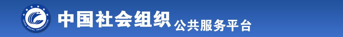 两个鸡巴一起插逼视频全国社会组织信息查询